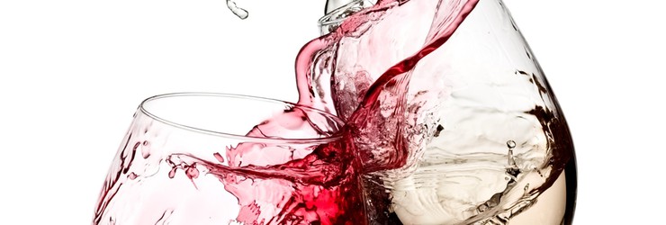 Wine tasting Betuws Wijndomein