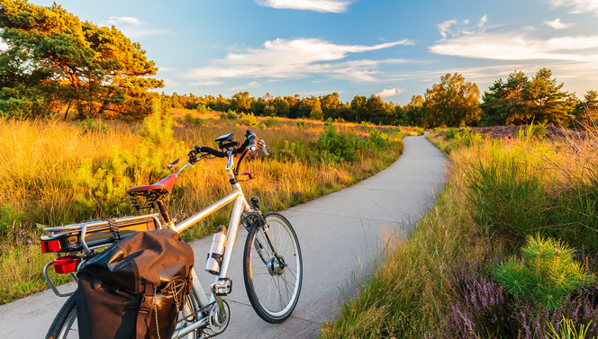 Fiets