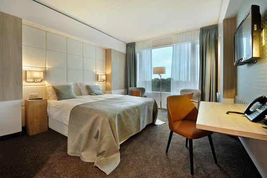 Family Room Deluxe