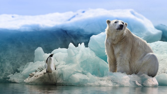 Antarctica Suite